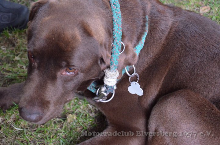 MCE Sommertreffen 2012 - 074.JPG